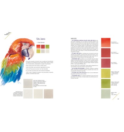 MEZCLA DE COLORES EN LA ACUARELA, LA