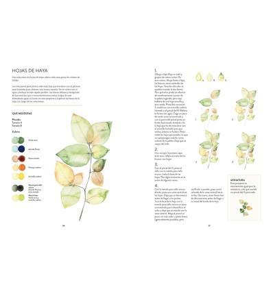 ACUARELA BOTANICA