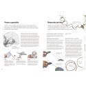 PRACTICA EN EL TALLER DE JOYERIA, LA